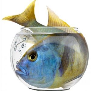 Meet your Posher, Kacey